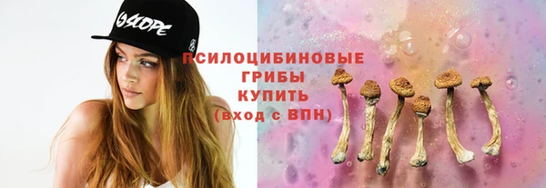 ешки Кукмор