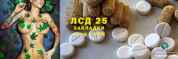 ешки Кукмор