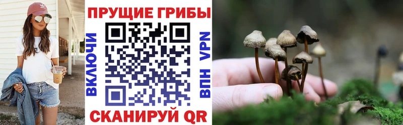 Купить где Новохопёрск Псилоцибиновые грибы ЛСД